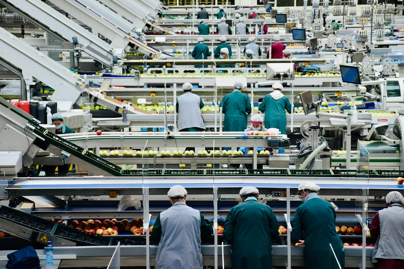 Industrial food-processing factory line